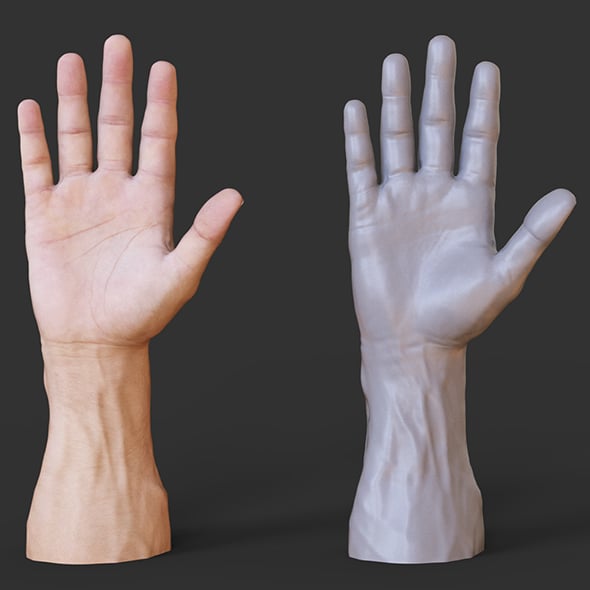Male Hand Pose - Gesture - 01 - 3DOcean Item for Sale