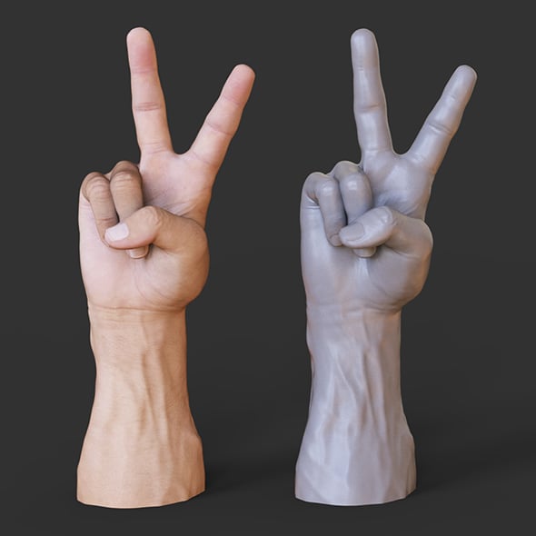 Male Hand Pose - Gesture - 14 - 3DOcean Item for Sale