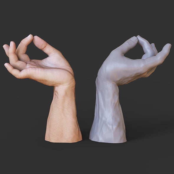 Male Hand Pose - Gesture - 27 - 3DOcean Item for Sale