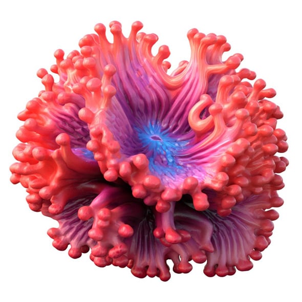 Coral Reef 05 - 3DOcean Item for Sale