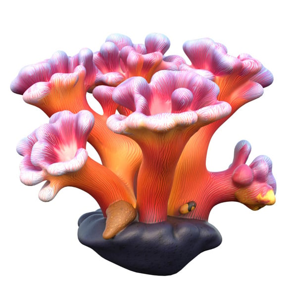 Coral Reef 08 - 3DOcean Item for Sale
