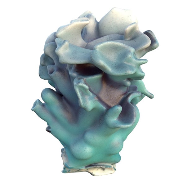 Coral Reef 15 - 3DOcean Item for Sale