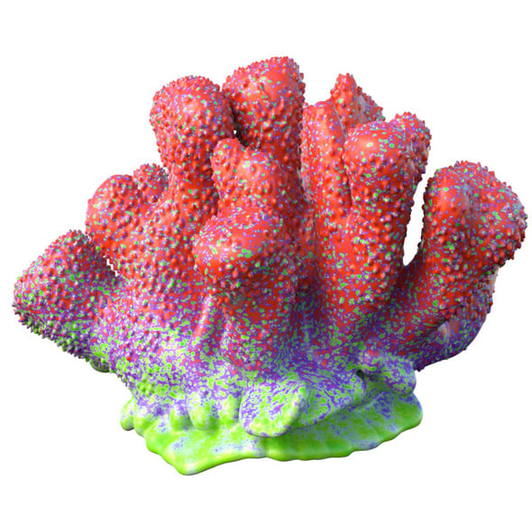 Coral Reef 18 - 3DOcean Item for Sale