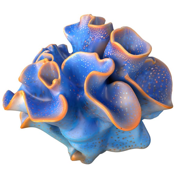 Coral Reef 21 - 3DOcean Item for Sale