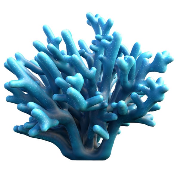 Coral Reef 26 - 3DOcean Item for Sale
