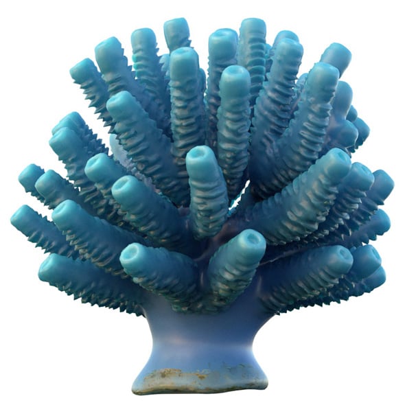 Coral Reef 28 - 3DOcean Item for Sale