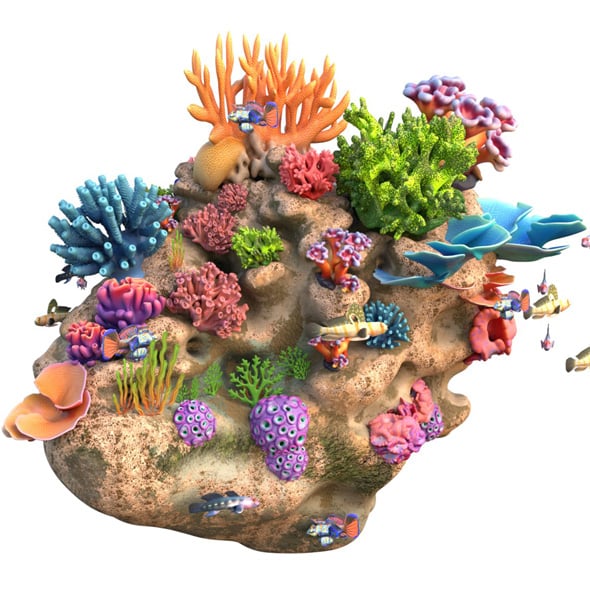 Coral Reef Rock 1 - 3DOcean Item for Sale