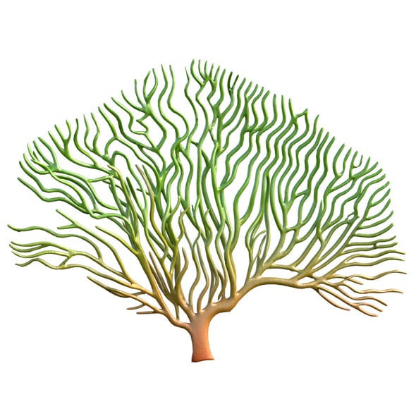 Seaweed 3 - 3DOcean Item for Sale