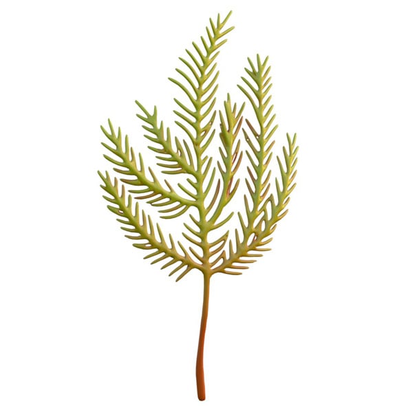 Seaweed 5 - 3DOcean Item for Sale