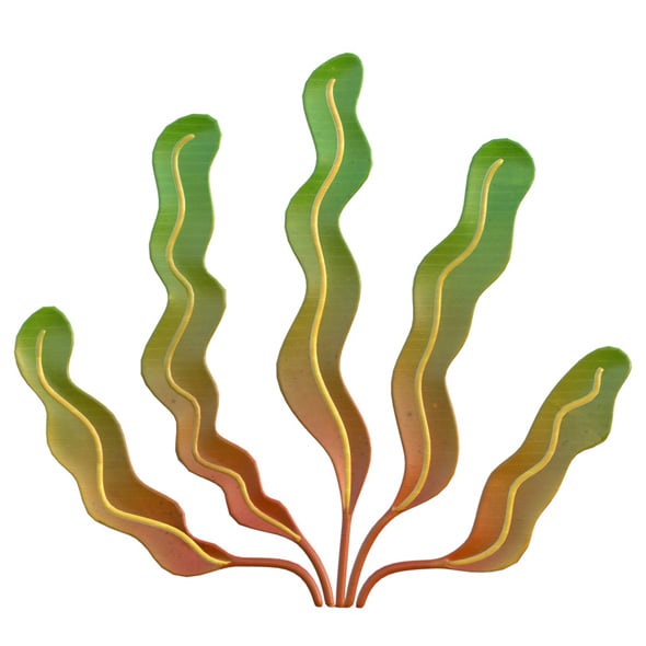 Seaweed 7 - 3DOcean Item for Sale