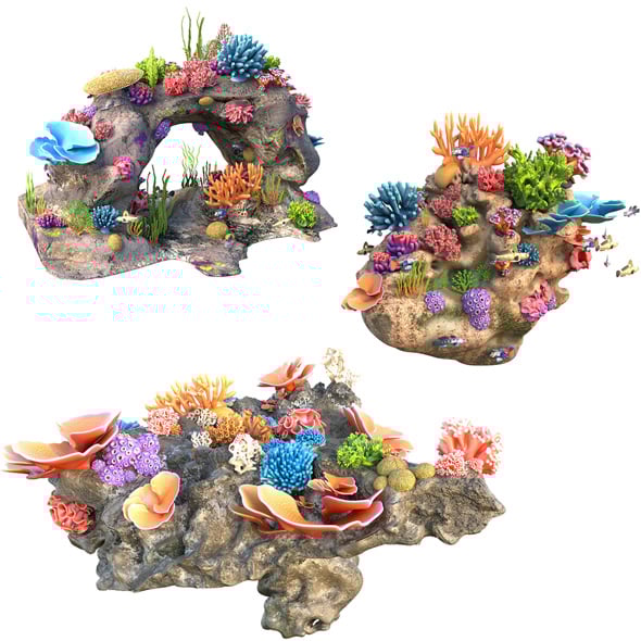 Coral Reef Rock Collection - 3DOcean Item for Sale