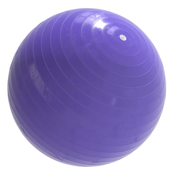 Fit Gym Ball - 3DOcean Item for Sale