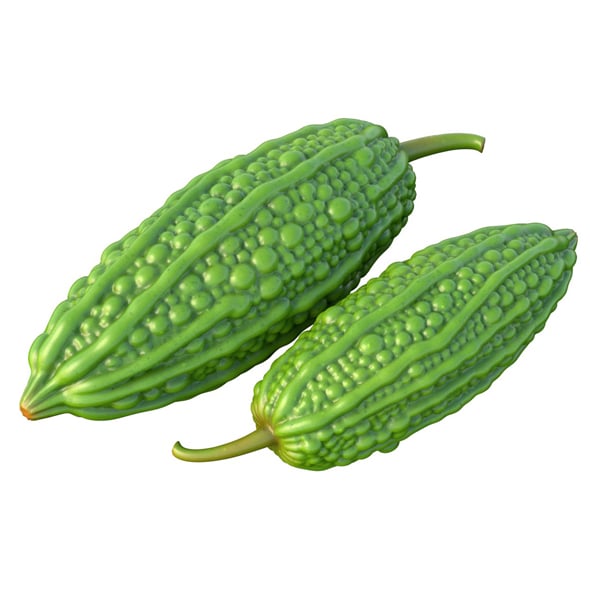 Bitter Gourd v2 - 3DOcean Item for Sale