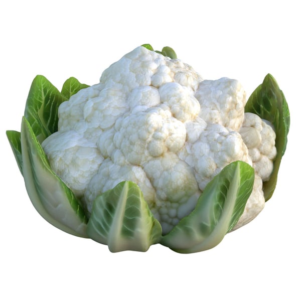 Cauliflower Vegetable - 3DOcean Item for Sale