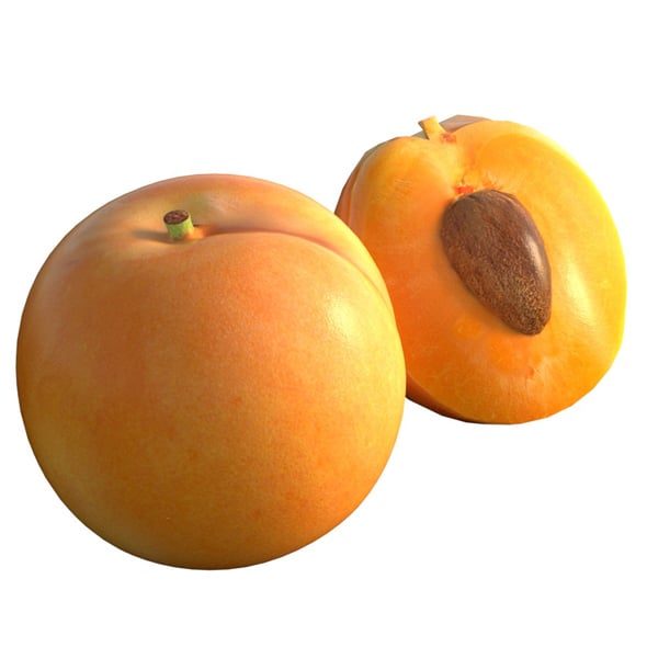 Apricot Fruit - 3DOcean Item for Sale
