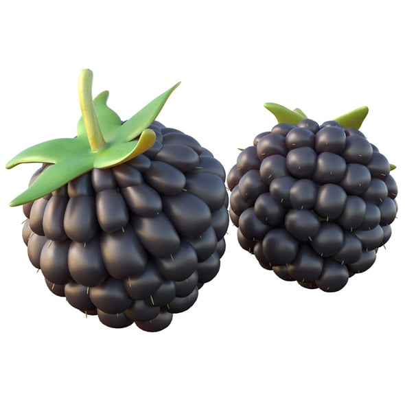 Blackberry Fruit - 3DOcean Item for Sale