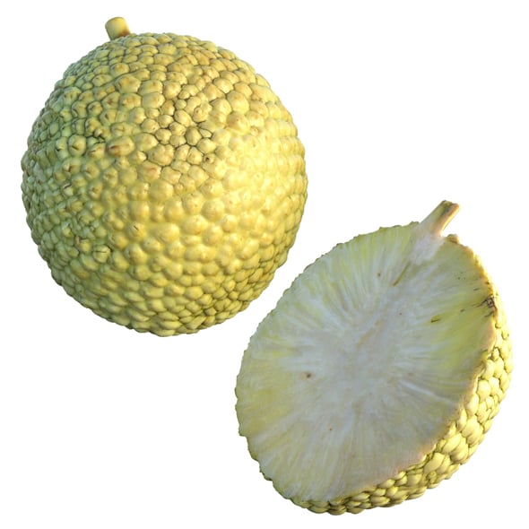Osage Orange Fruit - 3DOcean Item for Sale