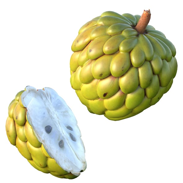Sugar Apple Fruit - 3DOcean Item for Sale