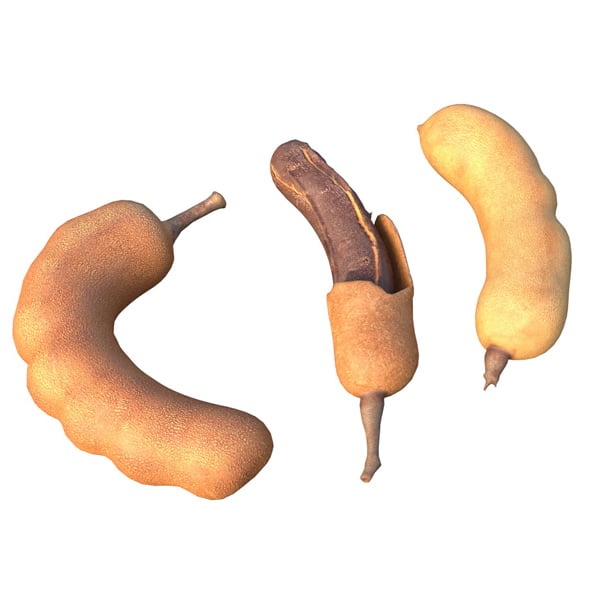 Tamarind Fruit - 3DOcean Item for Sale