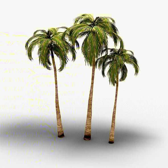 Coconut Tree - 3DOcean Item for Sale