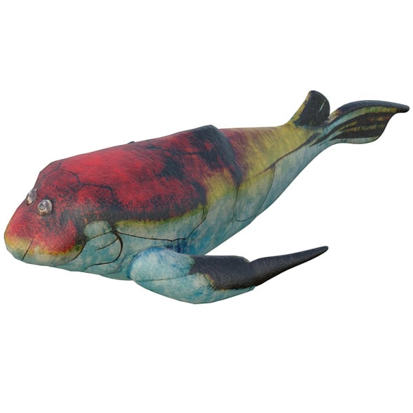 Bothriolepis Fish - 3DOcean Item for Sale