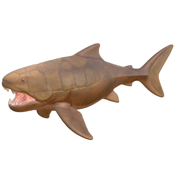Dunkleosteus Fish - 3DOcean Item for Sale