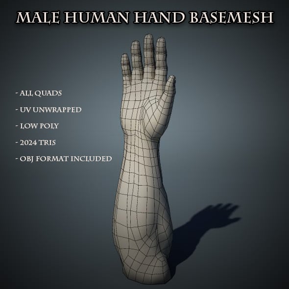 Human Male Hand Base Mesh by amardeep | 3DOcean