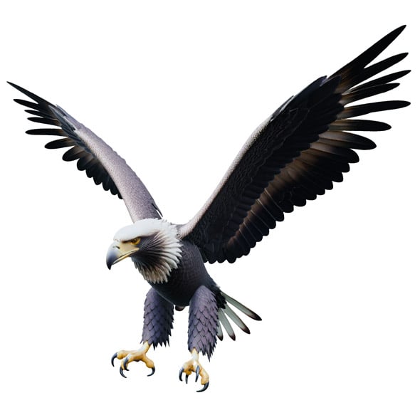 Eagle - 3DOcean Item for Sale