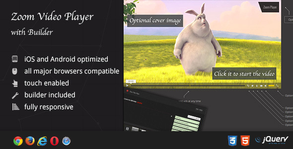 Zoom Video Player - with Builder - CodeCanyon Item for Sale