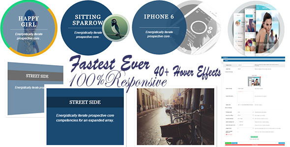 Image Hover Effects - WordPress Plugin - CodeCanyon Item for Sale