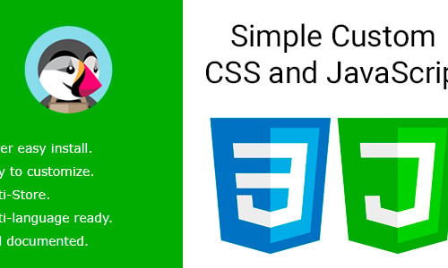 Simple Custom CSS and JavaScript by Bonpresta | CodeCanyon