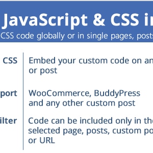 Custom JavaScript & CSS in Pages! by vanquish | CodeCanyon