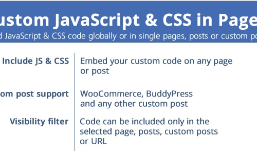 Custom JavaScript & CSS in Pages! by vanquish | CodeCanyon