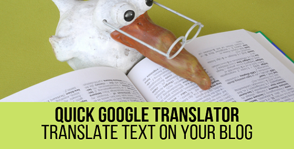 Quick Google Translator Plugin for WordPress - CodeCanyon Item for Sale