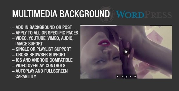 Image Video Audio Background for Wordpress - CodeCanyon Item for Sale
