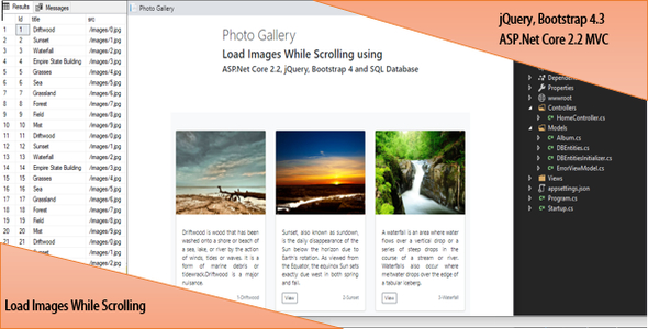 Load Images While Scrolling Using ASP.Net Core 2.2, jQuery, Bootstrap 4 and SQL Database - CodeCanyon Item for Sale