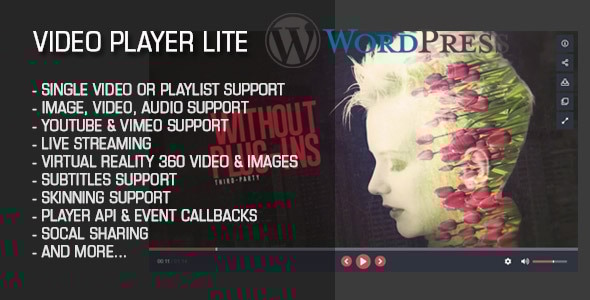 Video Player Lite Wordpress Plugin - CodeCanyon Item for Sale