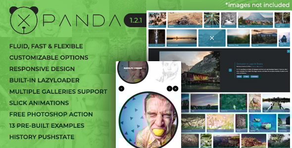 XPANDA - Responsive Gallery Content Expander Plugin - CodeCanyon Item for Sale