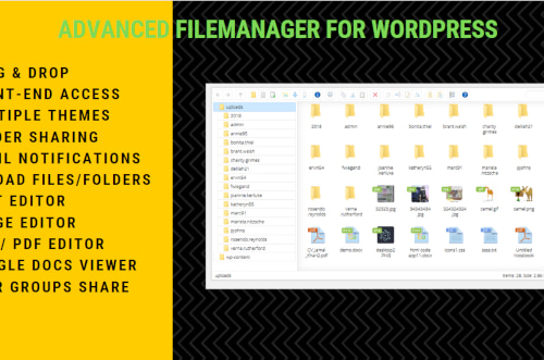 File Manager Plugin For WordPress by getredhawkstudio | CodeCanyon