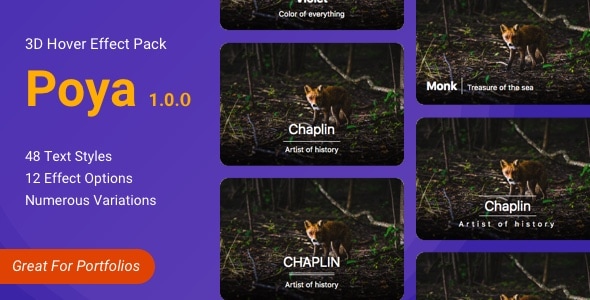 Poya 3d Image Hover Effect | JavaScript, CSS Hover Pack - CodeCanyon Item for Sale