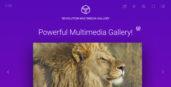 Revolution Multimedia Gallery Wordpress & WooCommerce Plugin - CodeCanyon Item for Sale
