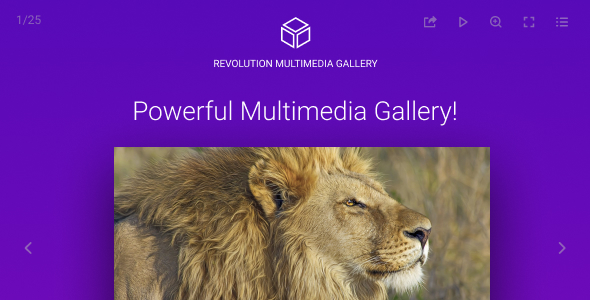 Revolution Multimedia Gallery - CodeCanyon Item for Sale