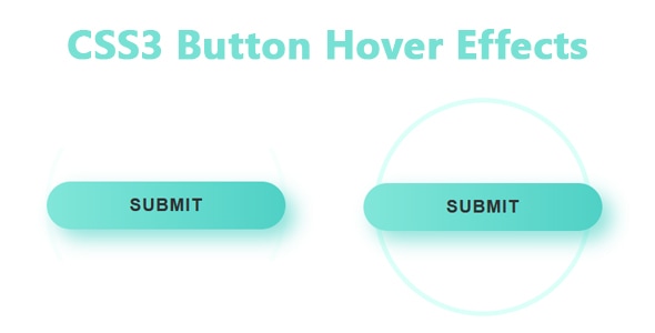 CSS3 Button Hover Effects - CodeCanyon Item for Sale