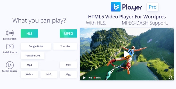 bzplayer Pro - Live Streaming Player WordPress Plugin - CodeCanyon Item for Sale