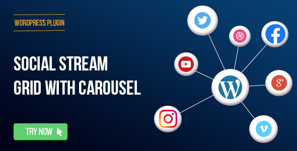 Social Stream for WordPress With Carousel - CodeCanyon Item for Sale