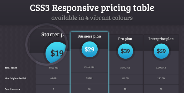 CSS3 Responsive pricing table - CodeCanyon Item for Sale