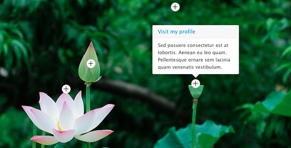 jQuery Hotspot Plugin with Slideshow - CodeCanyon Item for Sale