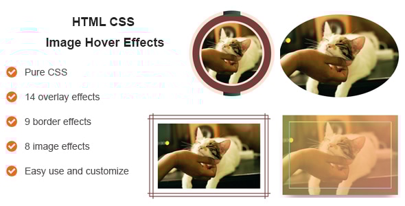 HTML CSS Image Hover Effects - CodeCanyon Item for Sale