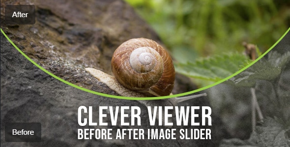 Clever Viewer - Before After Plugin for WordPress - CodeCanyon Item for Sale