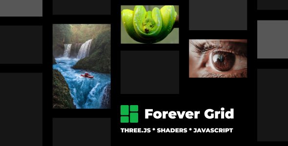 Forever Grid - CodeCanyon Item for Sale